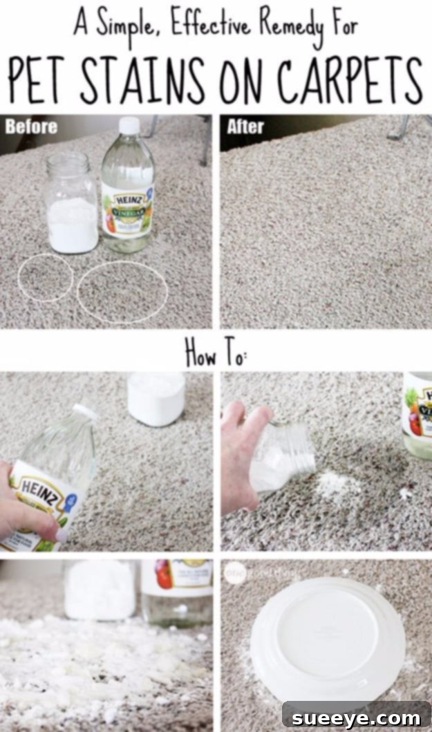 Remove Pet Stains From The Carpet - Cleaning Solution Close-up of a carpet with a pet stain being cleaned with a homemade remedy.