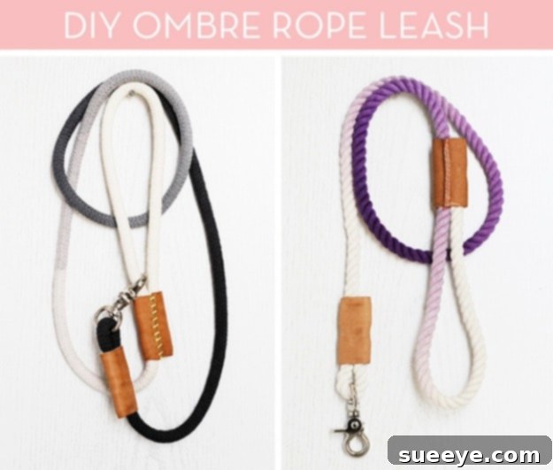 DIY Dip Dyed Rope Dog Leash - Fashionable Pet Gear DIY dip-dyed rope dog leash with vibrant colors, a stylish and strong pet accessory.