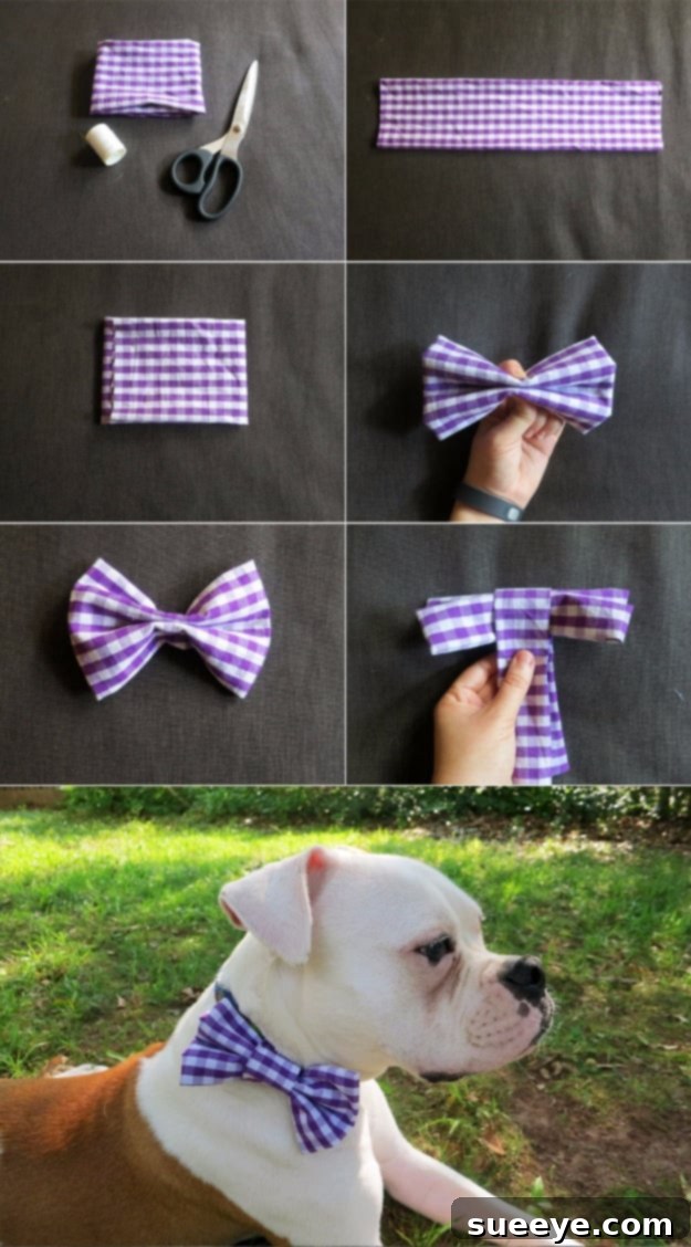 DIY Dog Collar Bow Tie - Cute Pet Fashion DIY dog collar bow tie attached to a pet's collar, adding a touch of charm and style.