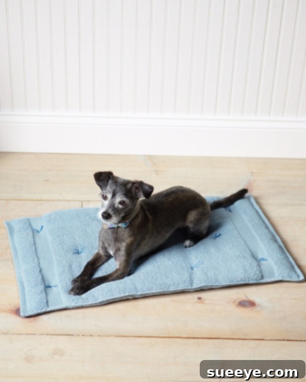 Cozy Travel Cushion for Pets - Portable Dog Bed DIY Homemade cozy travel cushion for dogs, made from two towels and batting, perfect for pet travel.