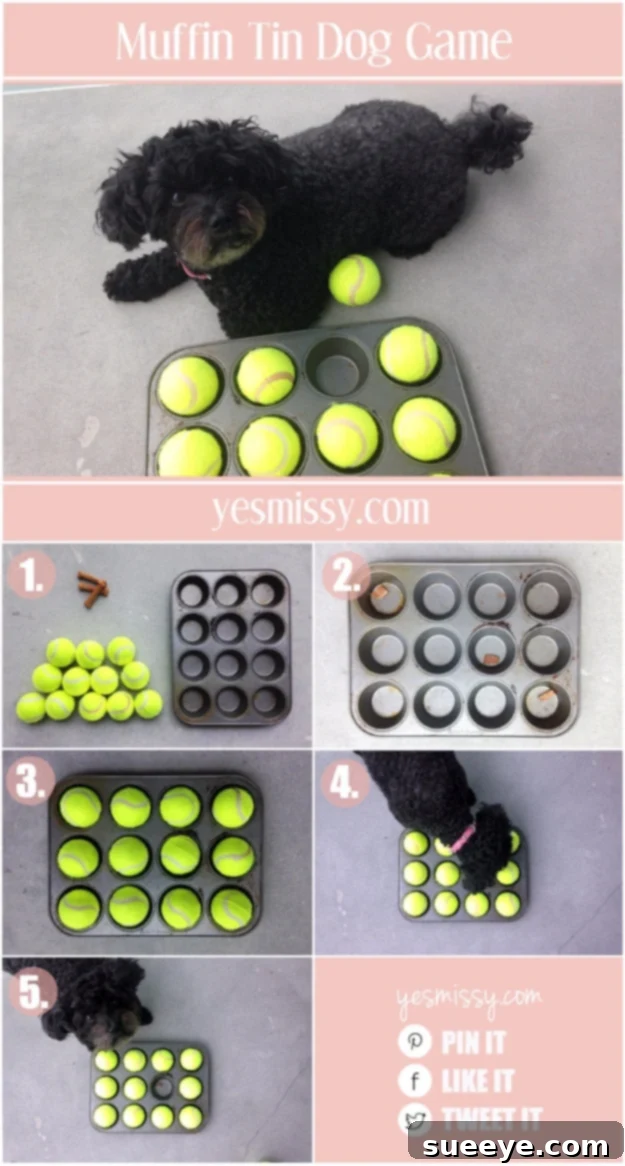 Muffin Tin Dog Game - Interactive Pet Toy Muffin tin dog game with treats hidden under tennis balls, a brain game for dogs.