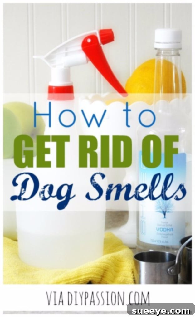 Get Rid Of Dog Smells - Pet Odor Control Hack Home interior with dog bed and a pet owner cleaning, symbolizing effective odor removal.