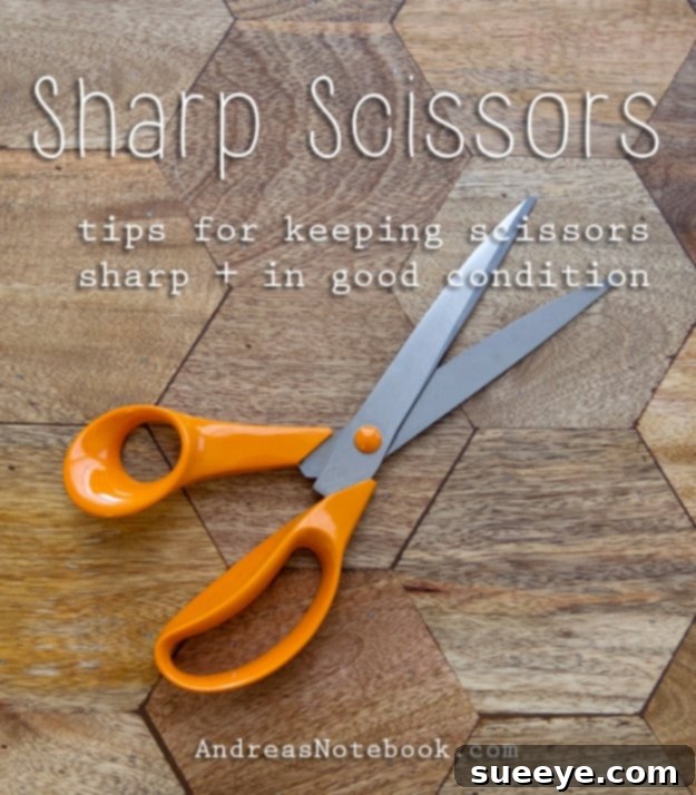 Keep Your Sewing Scissors Sharp: Extend Tool Lifespan Sewing Tool Care: How to Maintain Sharp Fabric Scissors for Clean Cuts