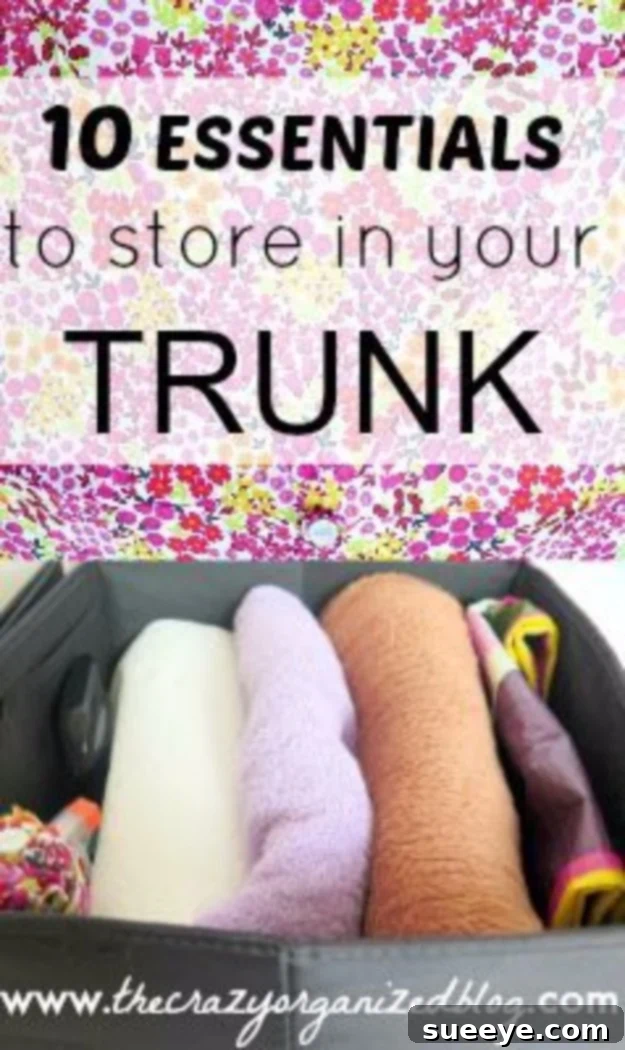 Organized Car Trunk with Essentials