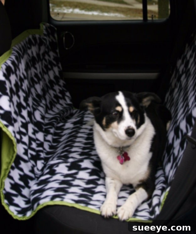 DIY Dog Car Seat Hammock for Pets