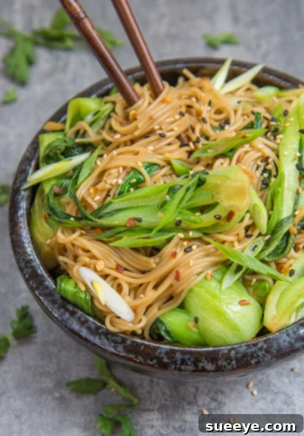 Sesame Ginger Noodles - Fast & Flavorful 15 Minute Sesame Ginger Noodles - quick and flavorful Asian-inspired dish