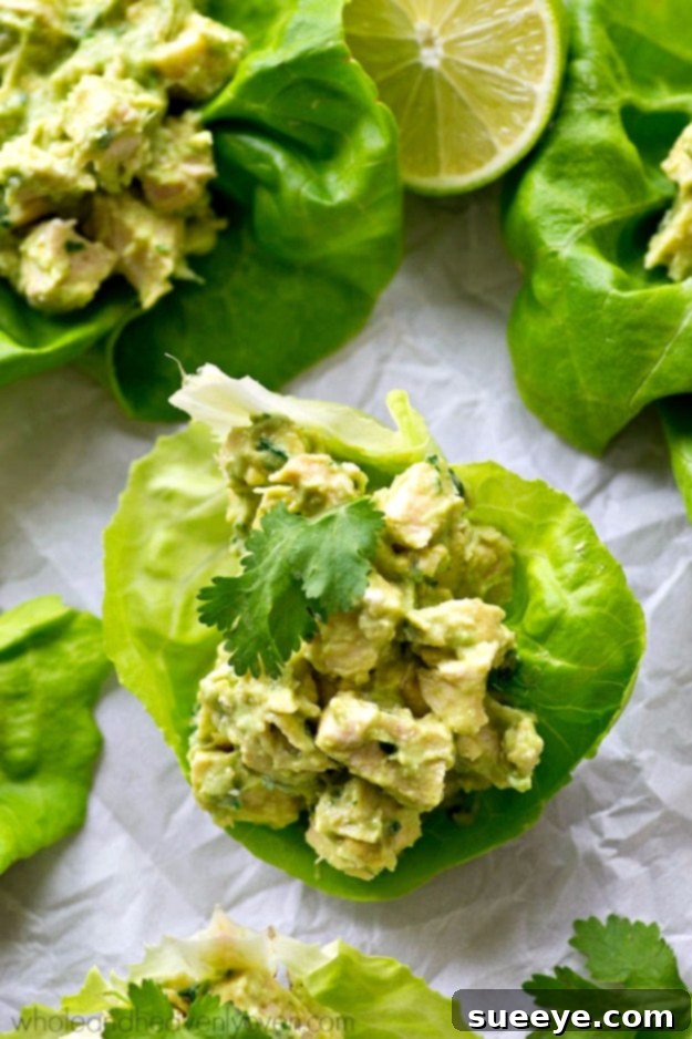 Avocado Chicken Lettuce Wraps - Fresh & Light Avocado Chicken Salad Lettuce Wraps - light and healthy low-carb meal