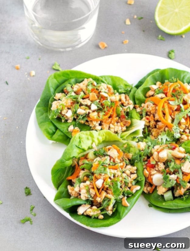 Healthy Asian Chicken Lettuce Wraps - Low-Carb & Zesty Healthy Asian Chicken Lettuce Wraps - light and flavorful low-carb dinner