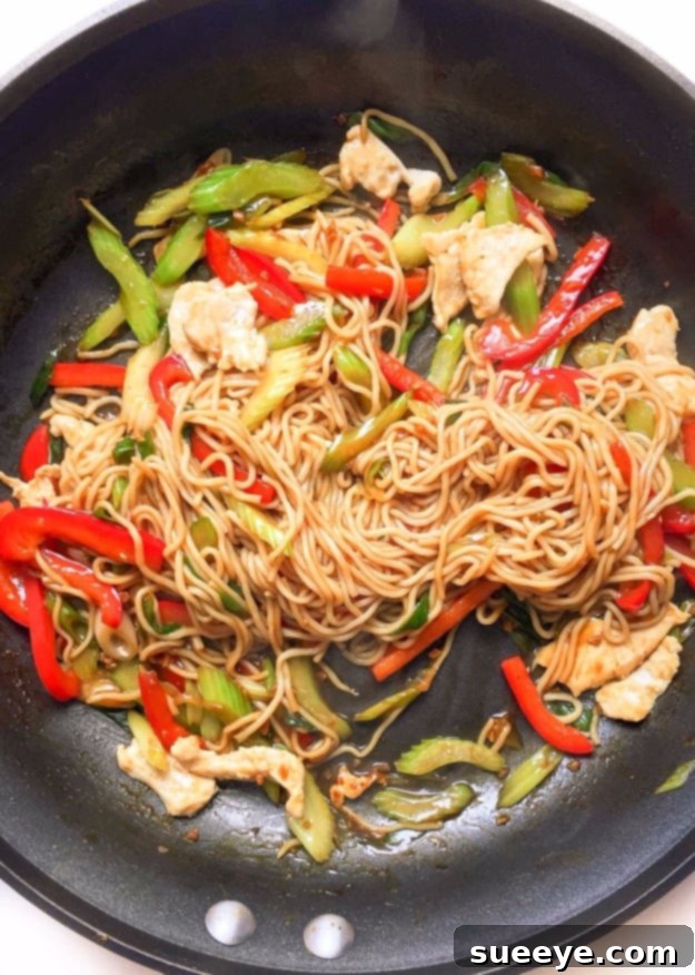 Easy Healthy Chicken Lo Mein - Guilt-Free Asian Meal Easy Healthy Chicken Lo Mein - low-calorie and flavorful Asian dinner
