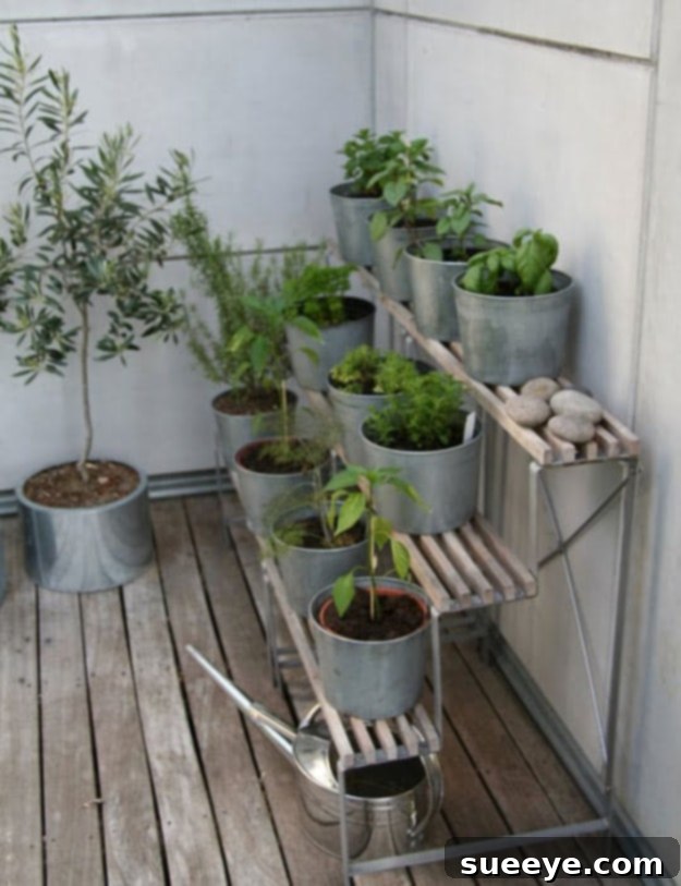 Terraced Herb Garden - Space Saving Gardening Multi-level terraced herb garden for efficient use of space and easy access