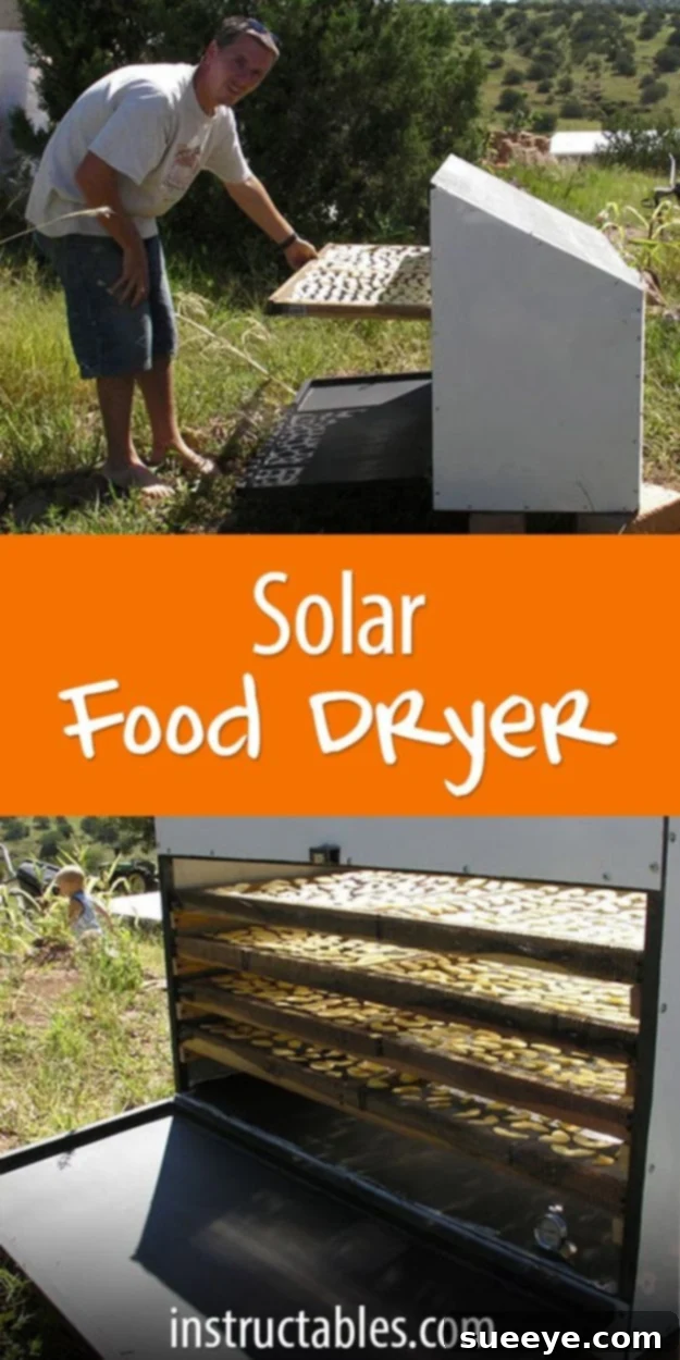 DIY Solar Food Dryer for Natural Preservation Homemade Solar Food Dryer for preserving fruits, vegetables, and herbs naturally