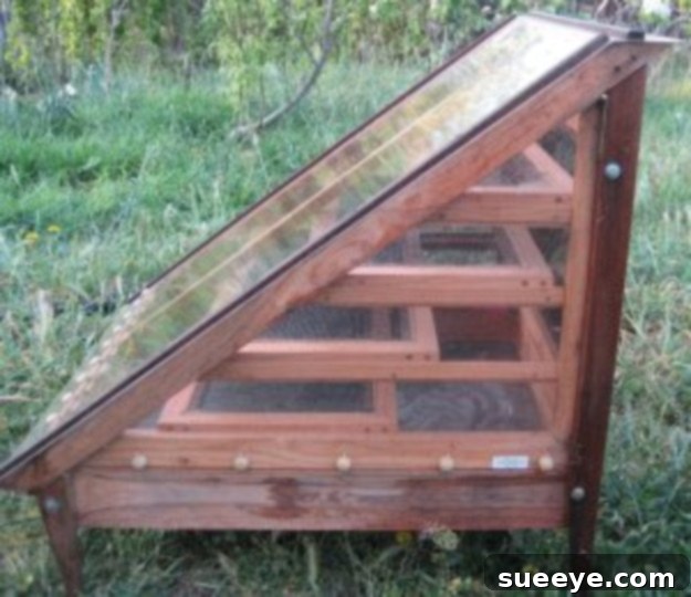 Build a Solar Food Dehydrator Solar Food Dehydrator for preserving garden produce naturally