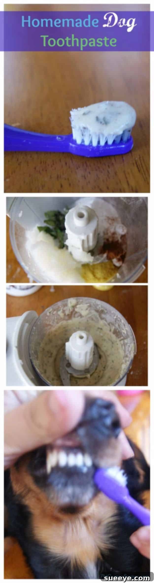 DIY Dog Grooming: Homemade Dog Toothpaste Homemade dog toothpaste recipe with coconut oil, cinnamon, bouillon, baking soda, and mint leaves for fresh breath.