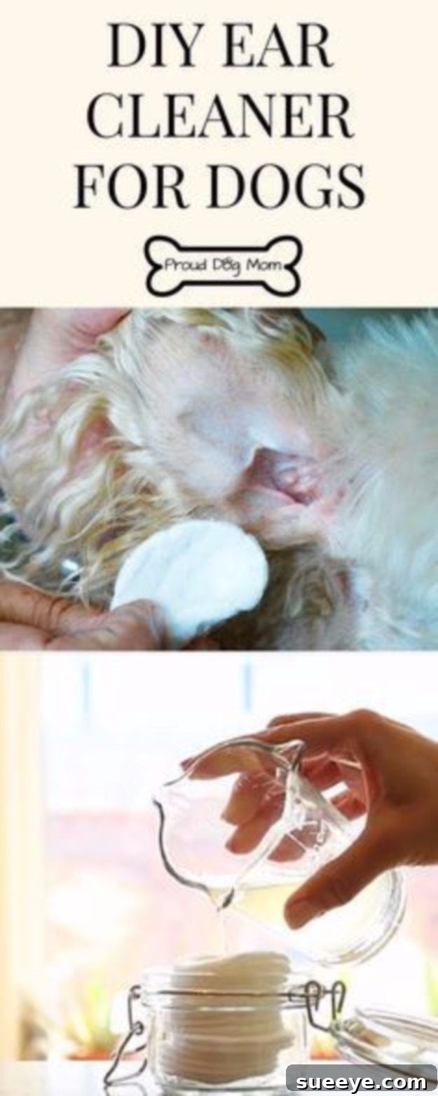 DIY Dog Grooming: Effective Ear Cleaner Homemade dog ear cleaner tutorial, showing natural ingredients like witch hazel, hydrogen peroxide, and essential oils for healthy ears.