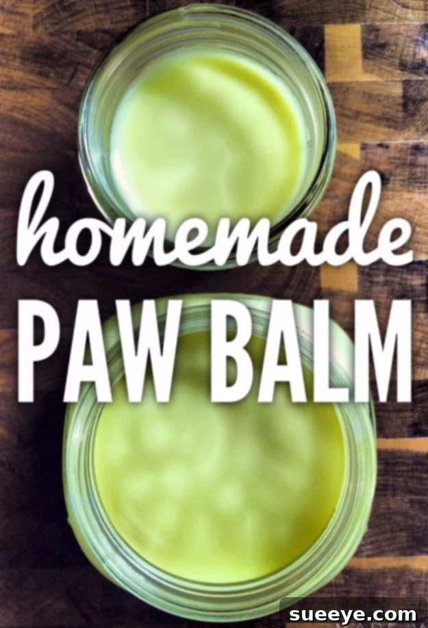 DIY Paw Care: Healing Paw Balm Recipe Homemade paw balm for dogs, ideal for moisturizing and protecting paws from harsh elements like ice, snow, or hot pavement.