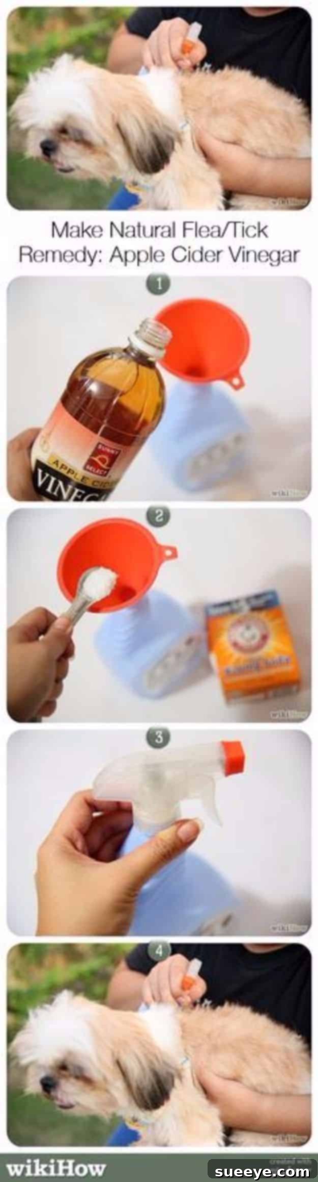 DIY Pet Care: Natural Flea & Tick Remedy DIY natural flea and tick remedy for dogs using apple cider vinegar, a safe and effective method for pest control.