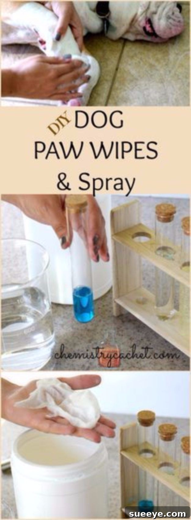 DIY Dog Grooming: Paw Wipes & Spray Homemade dog paw wipes and spray, a DIY solution for cleaning, disinfecting, and soothing dog paws after outdoor play.