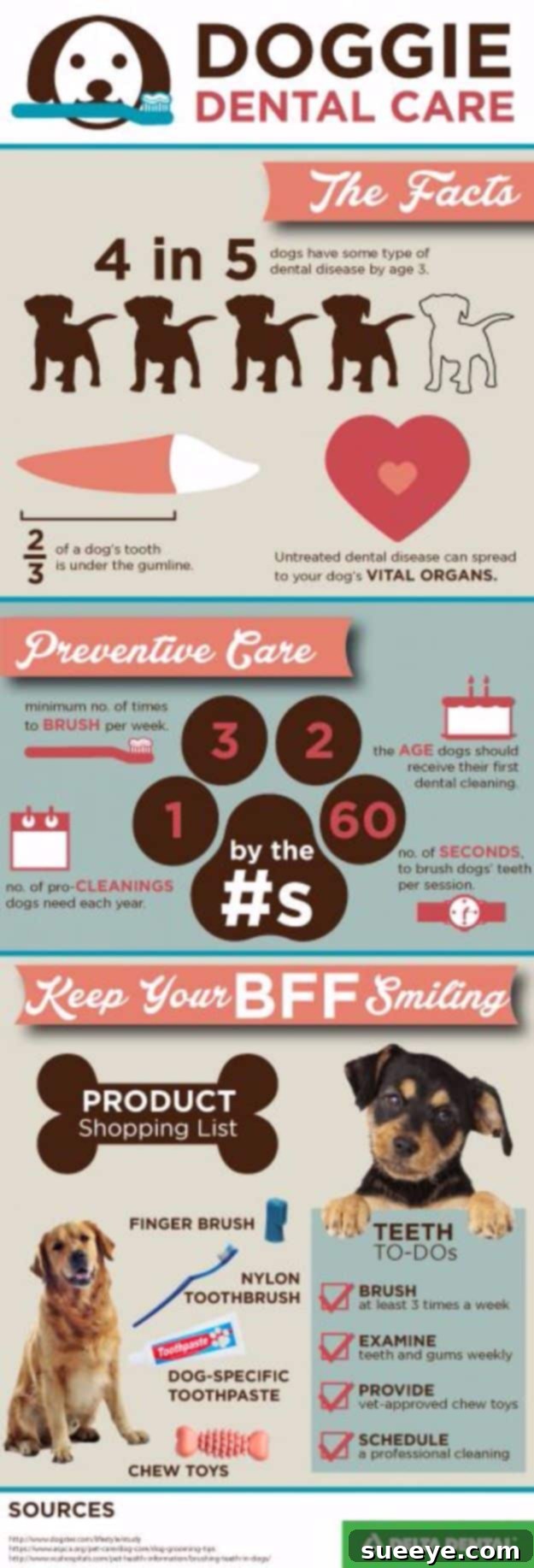 DIY Dog Grooming: Doggie Dental Health Infographic Infographic detailing doggie dental care, covering brushing frequency, examination tips, and overall canine oral health.