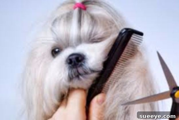 DIY Dog Grooming: Tail Care Techniques Tutorial on brushing, trimming, and thinning dog tails for improved hygiene and aesthetics.