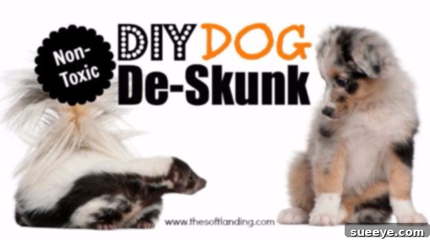 DIY Dog Grooming: Non-Toxic De-Skunk Remedy Non-toxic DIY dog de-skunk recipe, an effective homemade solution for neutralizing skunk odor on dogs.