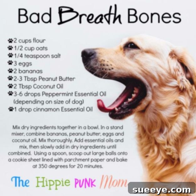 DIY Dog Grooming: Bad Breath Solutions Tips for bad breath care in dogs, including dental hygiene practices and natural remedies.