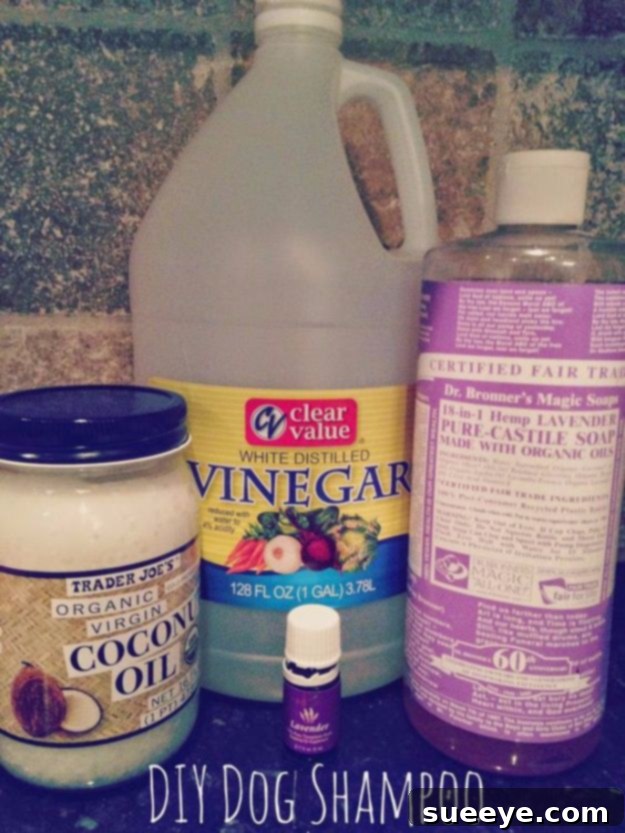 DIY Dog Grooming: Homemade Dog Shampoo DIY dog shampoo recipe, a homemade solution for washing dogs with natural ingredients, customized for specific needs.