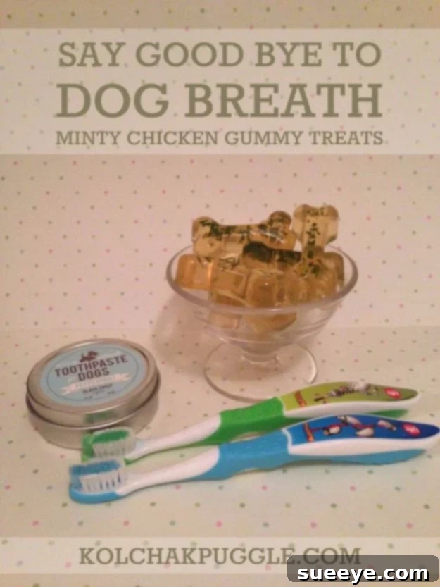 DIY Dog Teeth Care: Minty Chicken Gummy Treats Minty chicken gummy treats for dogs, a DIY solution for improving dog breath and promoting dental hygiene.