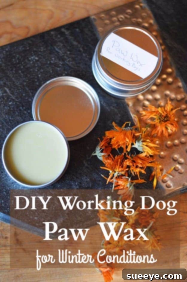 DIY Paw Care: Paw Wax for Protection Homemade paw wax for working dogs, offering protection and healing for paws exposed to harsh elements.
