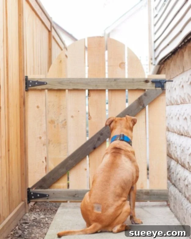 DIY Outdoor Gate Project for Backyard & Home DIY outdoor gate design for backyard security and style