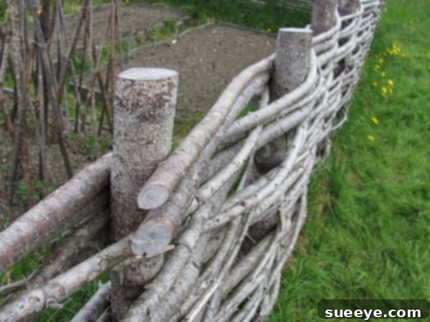 Wattle Fencing DIY Traditional wattle fencing made from woven branches for garden