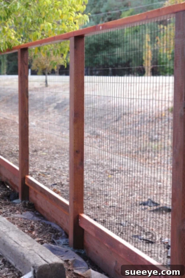 DIY Deer Fence Solution Effective deer fence to protect gardens from wildlife