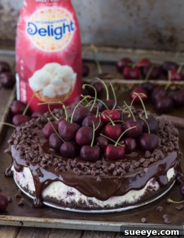 Chocolate Cherry Cheesecake: Best Flavor Combination Elegant Chocolate Cherry Cheesecake, a gourmet dessert delight