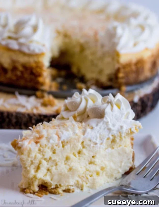 Coconut Cream Cheesecake: Unique and Easy Recipe Tropical Coconut Cream Cheesecake, a light and refreshing dessert