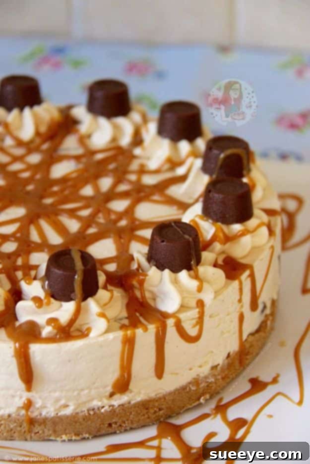 No Bake Caramel Rolo Cheesecake: Quick Dessert Idea Easy No Bake Caramel Rolo Cheesecake with gooey caramel and chocolate