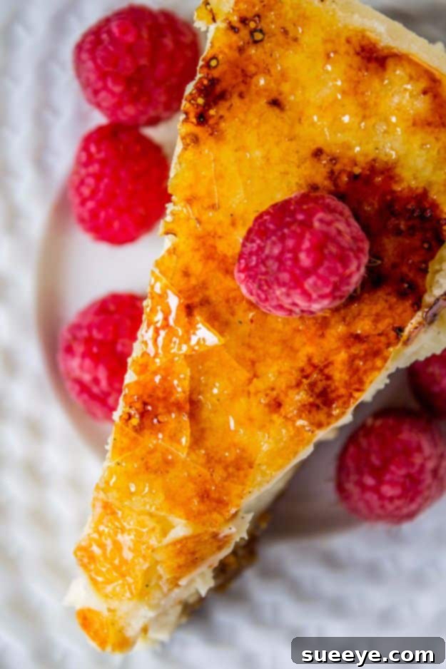 Creme Brulee Cheesecake: Elegant Dessert Recipe Luxurious Creme Brulee Cheesecake with caramelized sugar topping