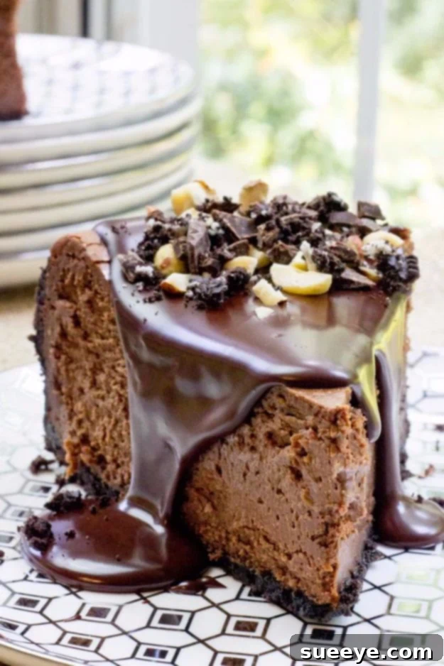 Chocolate Hazelnut Cheesecake: Sophisticated Dessert Elegant Chocolate Hazelnut Cheesecake with rich chocolate and roasted hazelnuts
