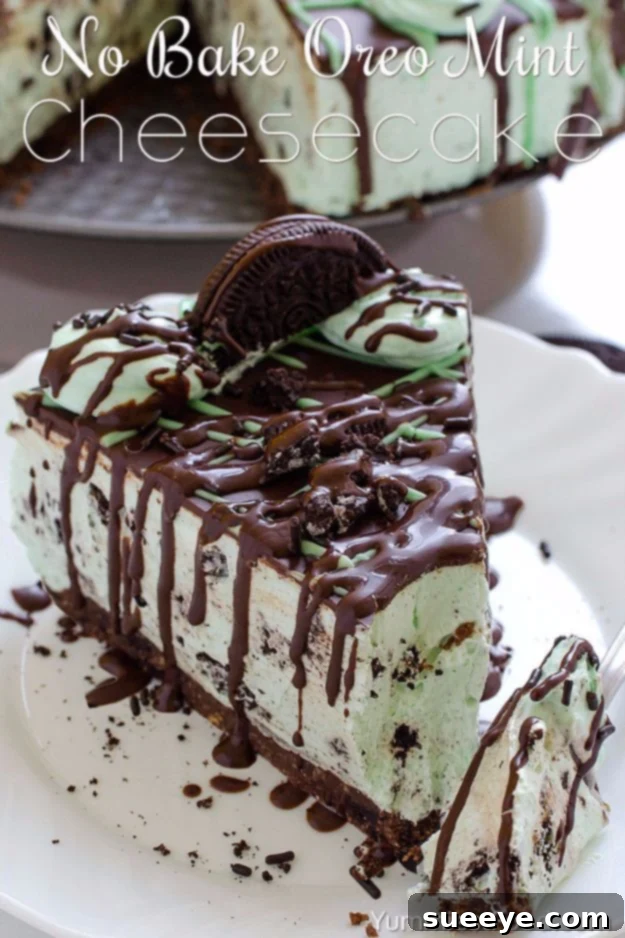 No Bake Oreo Mint Cheesecake: Refreshing Dessert Idea Cool No Bake Oreo Mint Cheesecake with chocolate mint flavor and Oreo pieces