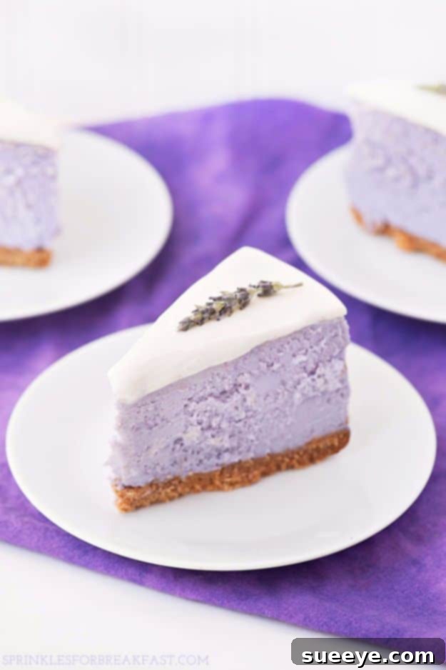 Unique Honey Lavender Cheesecake Recipe Elegant Honey Lavender Cheesecake with delicate floral notes