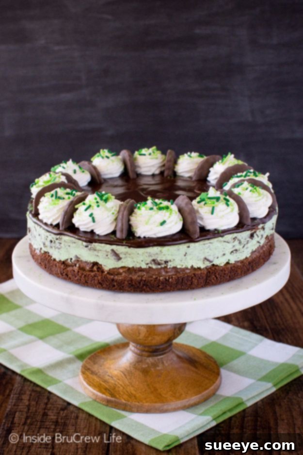 Thin Mint Cheesecake Brownie Cake: Ultimate Mint & Chocolate Treat Layered Thin Mint Cheesecake Brownie Cake, a decadent mint-chocolate dessert