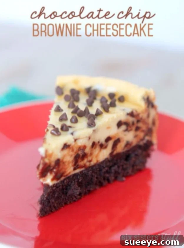 Easy Chocolate Chip Brownie Cheesecake Recipe Rich Chocolate Chip Brownie Cheesecake, a delightful combination dessert