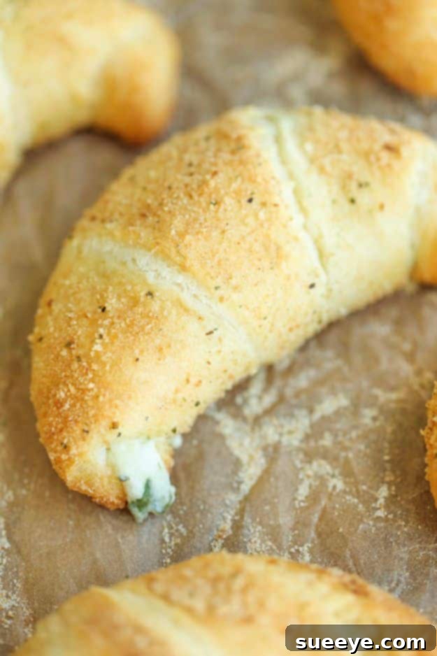 Spinach and Artichoke Dip Roll Ups Creamy Spinach and Artichoke Dip Roll Ups, a perfect appetizer for any gathering.