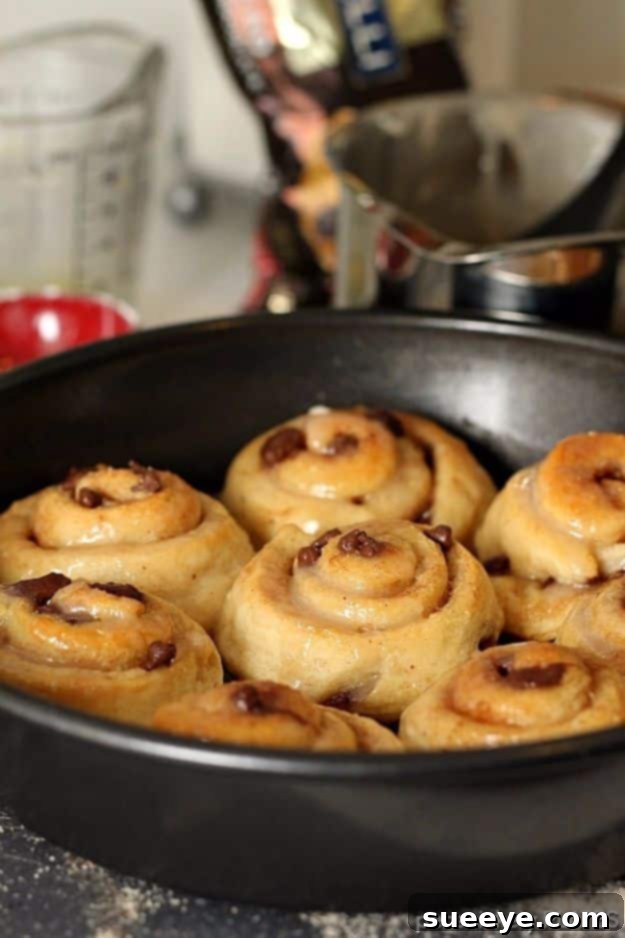 Chocolate Chip Cinnamon Rolls Decadent Chocolate Chip Cinnamon Rolls made easy with crescent dough, a delightful breakfast.