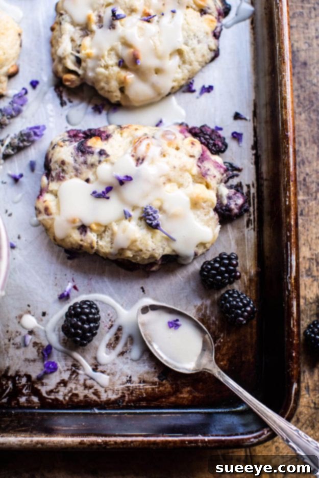 Lavender Scones Recipe Blackberry Lavender White Chocolate Scones for a gourmet treat