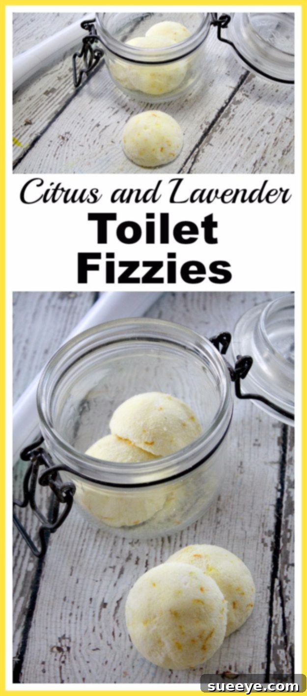 DIY Lavender Toilet Fizzies Citrus and Lavender Toilet Fizzies for natural cleaning