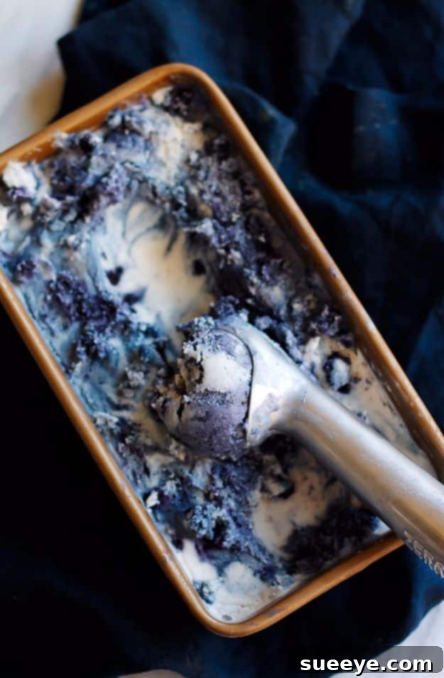 Lavender Coconut Ice Cream Recipe Wild Blueberry Lavender Coconut Ice Cream for a unique dessert