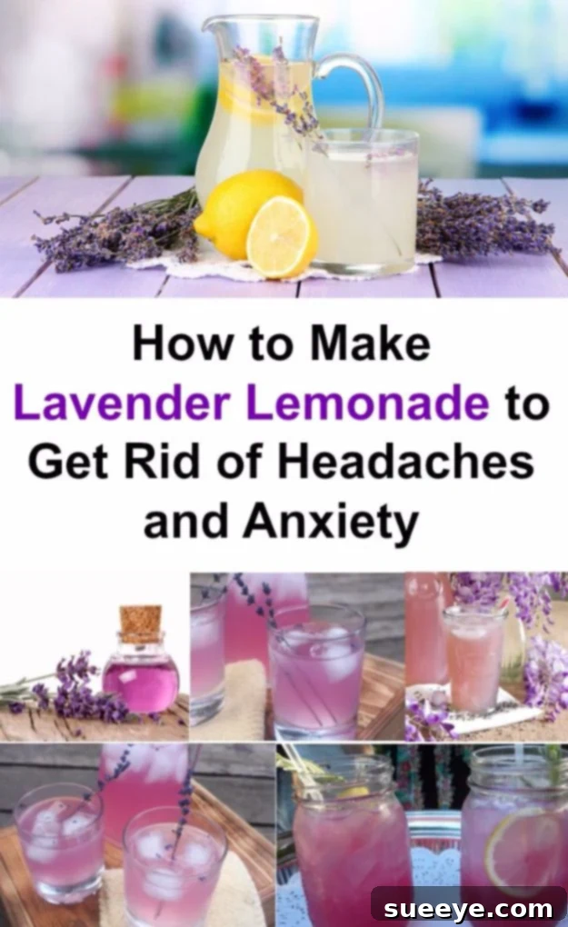 DIY Lavender Lemonade Lavender Lemonade Recipe for a refreshing drink