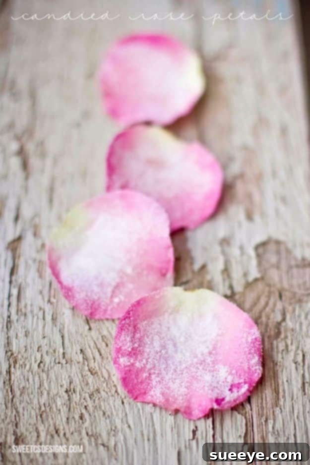 Recipe for Candied Rose Petals to garnish desserts and drinks