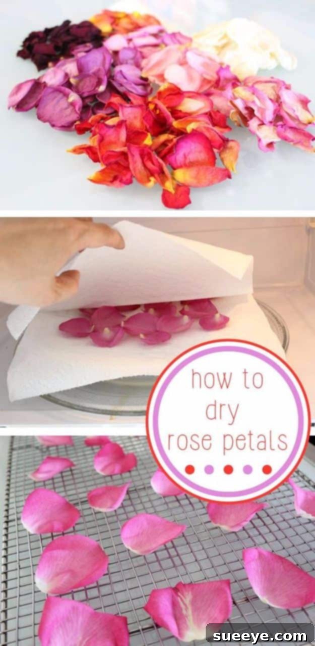 How to Dry Rose Petals for DIY crafts and decor