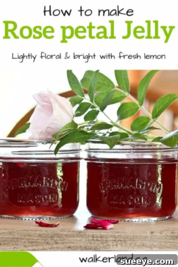 Recipe for Rose Petal Jelly for a unique gourmet spread
