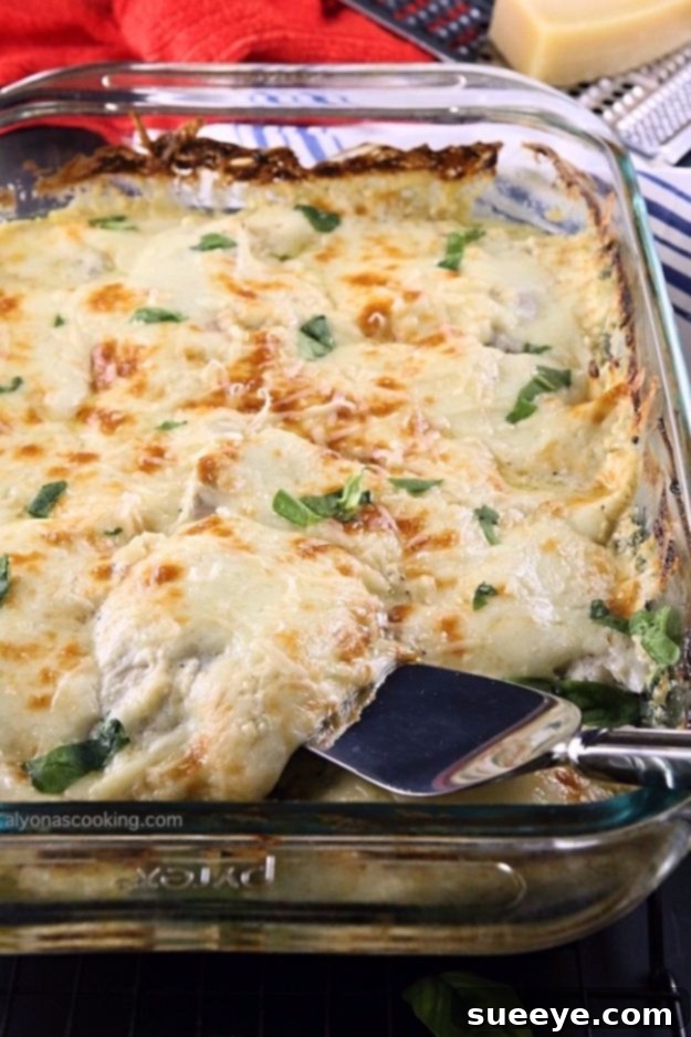 Creamy Baked Tilapia and Spinach Casserole in a dish